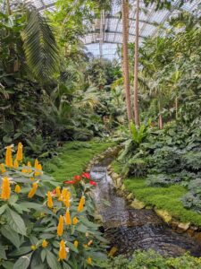 palmengarten