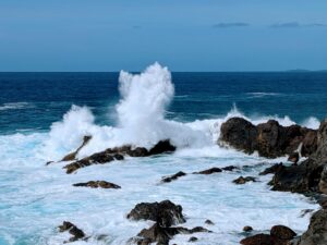 waves madeira